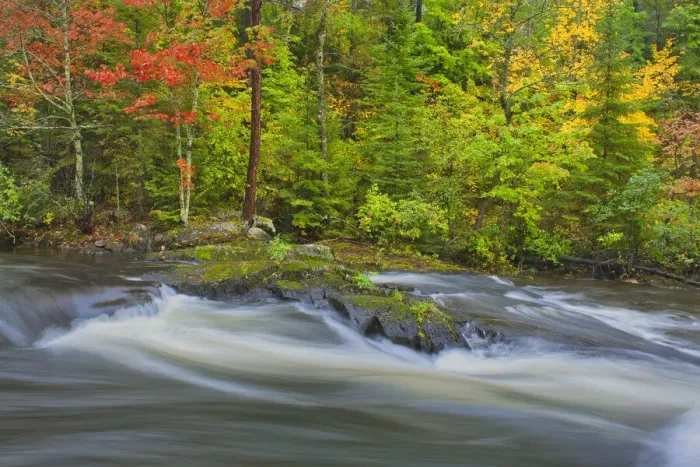 Framed Print : Canada, Ontario. Berry Creek landscape. Credit as: Mike Grandmaison  /  Jaynes Gallery  / 