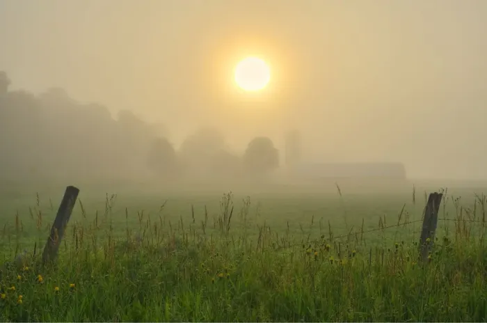 Framed Print : Canada, Ontario, Bourget. Farm field at sunrise in fog Framed Print : Canada, Ontario, Bourget. Farm field at sunrise in fog