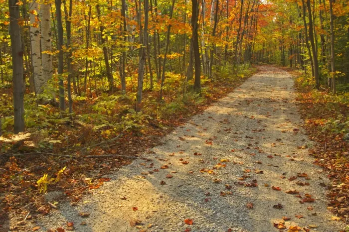 Framed Print : Canada, Ontario, Bruce Peninsula National Park. Autumn on the Bruce Trail Framed Print : Canada, Ontario, Bruce Peninsula National Park. Autumn on the Bruce Trail