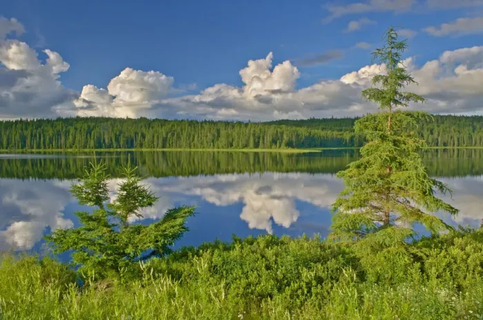 Framed Print : Canada, Ontario. Clouds reflected in Trail Lake. Credit as