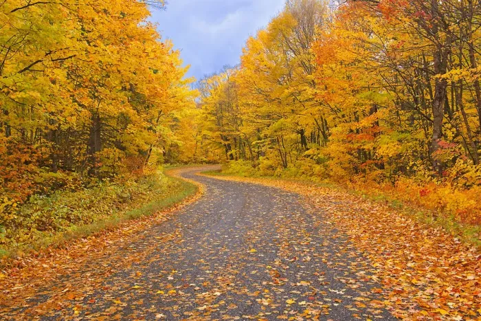 Framed Print : Canada, Ontario. Country road through forest. Credit as Framed Print : Canada, Ontario. Country road through forest. Credit as