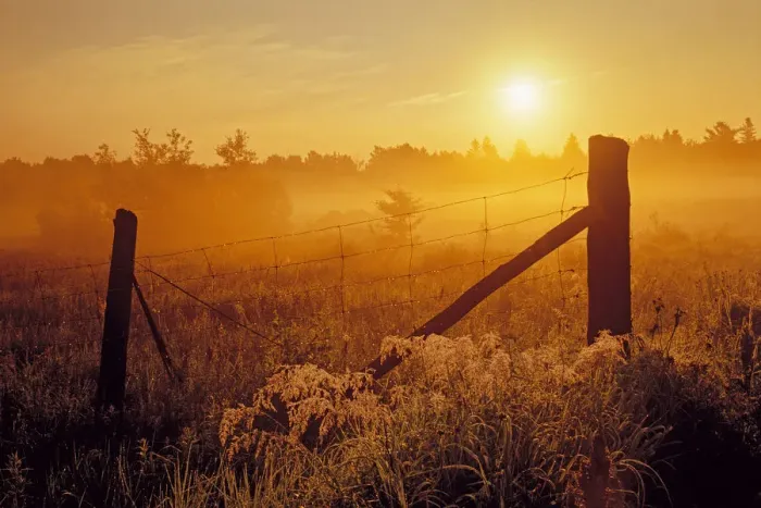 Framed Print : Canada, Ontario, Estaire. Fence at sunrise in fog