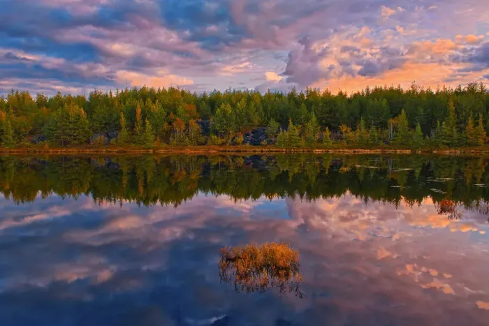 Framed Print : Canada, Ontario, Greater Sudbury. Lake grasses and cloud reflections at sunrise