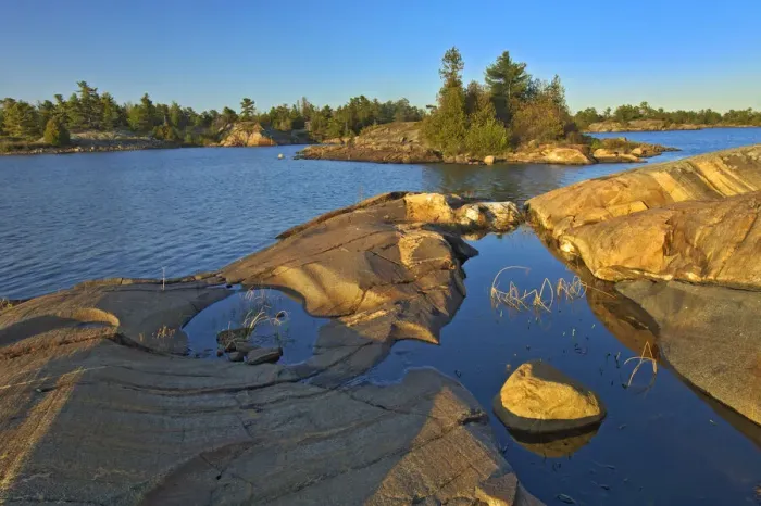Framed Print : Canada, Ontario, Honey Harbour. White pine tree on Precambrian shield rock Framed Print : Canada, Ontario, Honey Harbour. White pine tree on Precambrian shield rock