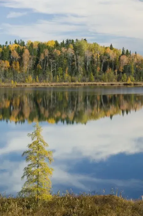 Framed Print : CANADA-Ontario-Kashabowie: Kashabowie Lake / Autumn Framed Print : CANADA-Ontario-Kashabowie: Kashabowie Lake / Autumn