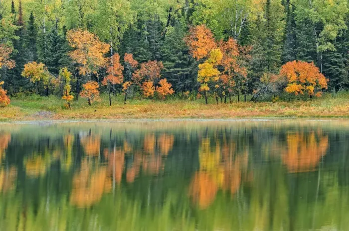 Framed Print : Canada, Ontario, Kenora District. Forest autumn colors reflect on Middle Lake Framed Print : Canada, Ontario, Kenora District. Forest autumn colors reflect on Middle Lake