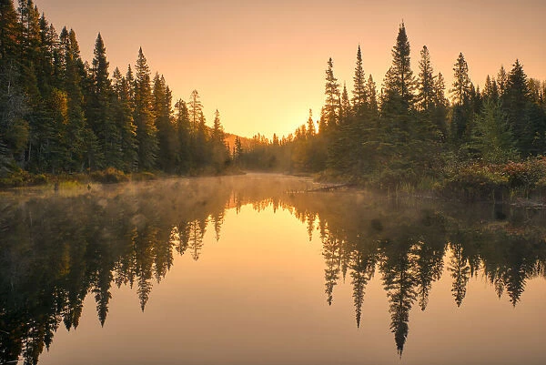 Canada, Ontario, Lake Superior Provincial Park. Sunrise forest reflection in waterway