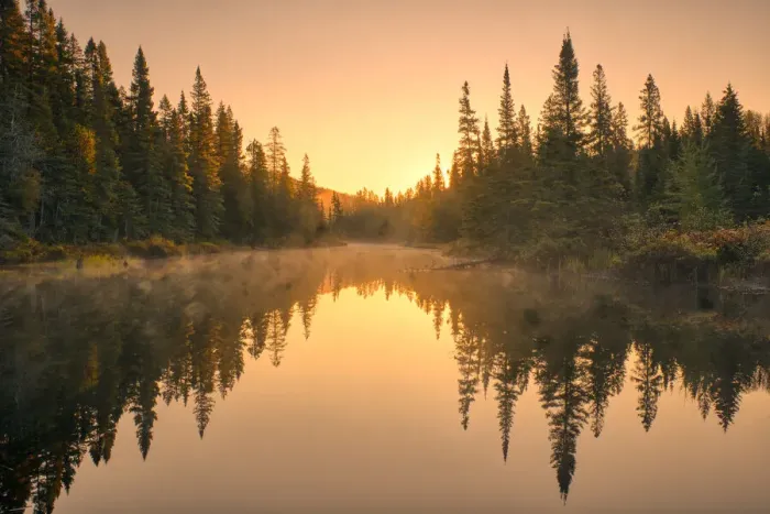 Framed Print : Canada, Ontario, Lake Superior Provincial Park. Sunrise forest reflection in waterway Framed Print : Canada, Ontario, Lake Superior Provincial Park. Sunrise forest reflection in waterway