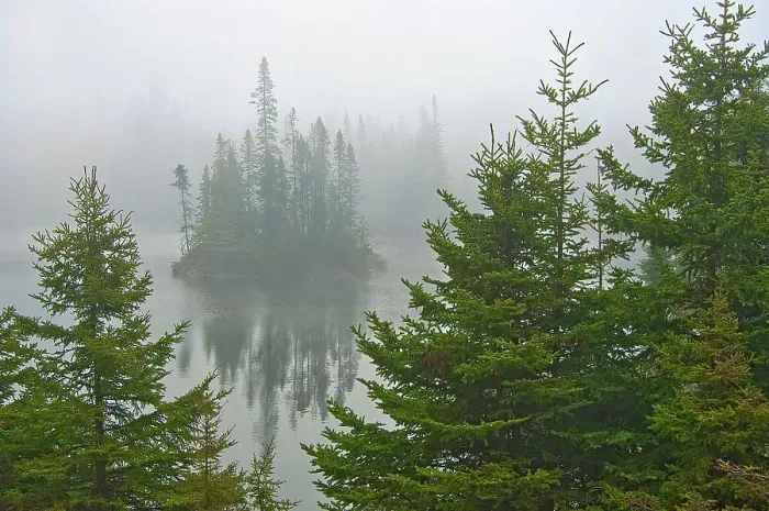 Framed Print : Canada, Ontario, Lake Superior Provincial Park. Fog on island in Fenton Lake Framed Print : Canada, Ontario, Lake Superior Provincial Park. Fog on island in Fenton Lake