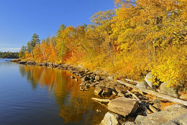 Canada, Ontario, Nestor Falls. Autumn on shore of Lake of the Woods