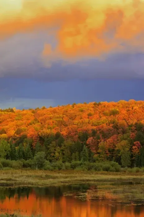 Framed Print : Canada, Ontario, Oxtongue Lake. Colorful sky and forest at sunset Framed Print : Canada, Ontario, Oxtongue Lake. Colorful sky and forest at sunset