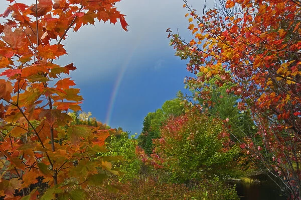 Canada, Ontario, Oxtongue Lake. Rainbow and maple trees in autumn color. Credit as