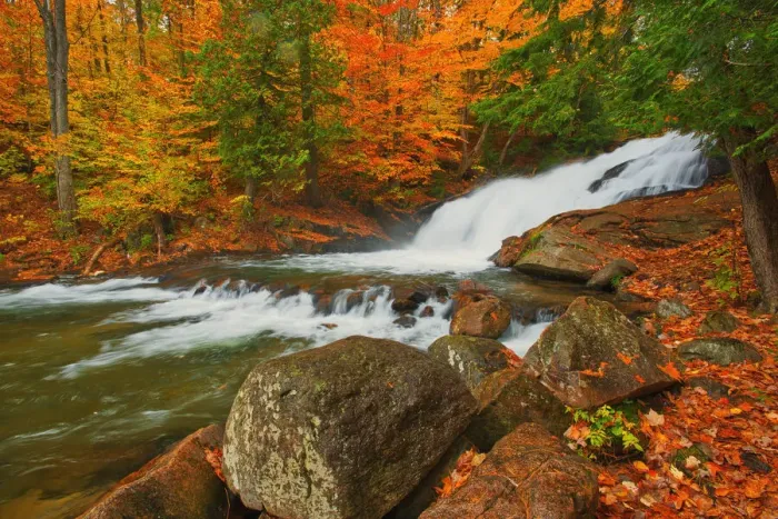 Framed Print : Canada, Ontario, Rosseau. Skeleton River at Hatchery Falls in autumn Framed Print : Canada, Ontario, Rosseau. Skeleton River at Hatchery Falls in autumn
