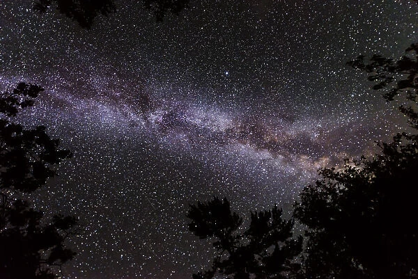 Canada, Ontario, Sioux Narrows Provincial Park, Night sky with Milky Way