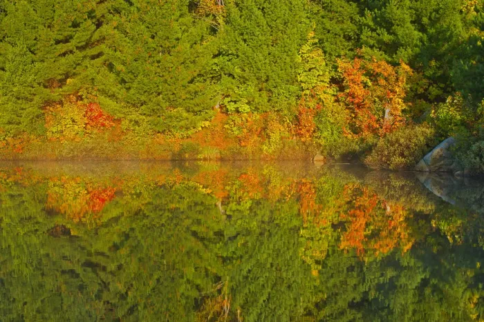 Framed Print : Canada, Ontario, Sudbury. Autumn colors reflect in Lake Laurentian at sunrise Framed Print : Canada, Ontario, Sudbury. Autumn colors reflect in Lake Laurentian at sunrise