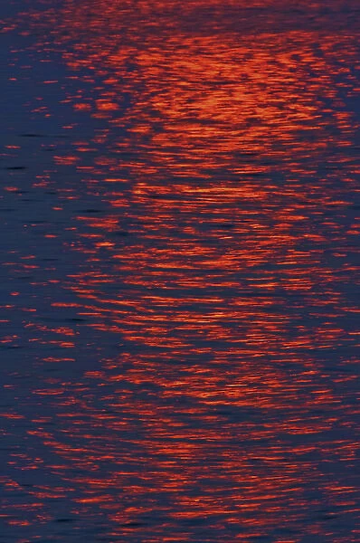 Canada, Ontario. Sunrise paints a path of light across Georgian Bay
