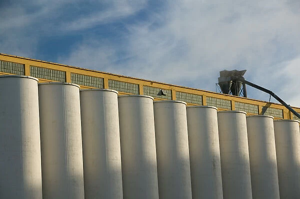 CANADA-Ontario-Thunder Bay: Keefer Shipping Terminal  /  Grain Elevator