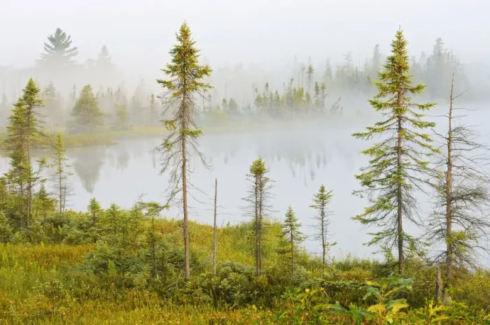 Framed Print : Canada, Ontario, Torrance Barrens Dark Sky Preserve. Fog on Highland Pond. Credit as Framed Print : Canada, Ontario, Torrance Barrens Dark Sky Preserve. Fog on Highland Pond. Credit as