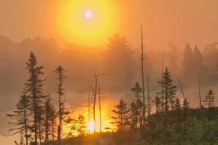 Framed Print : Canada, Ontario, Torrance Barrens Dark-Sky Preserve. Foggy sunrise on forest Framed Print : Canada, Ontario, Torrance Barrens Dark-Sky Preserve. Foggy sunrise on forest