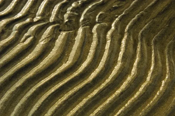 Framed Print : Canada, Ontario, Wahnekewaning Beach. Ripples in shore sand of Georgian Bay. Credit as Framed Print : Canada, Ontario, Wahnekewaning Beach. Ripples in shore sand of Georgian Bay. Credit as