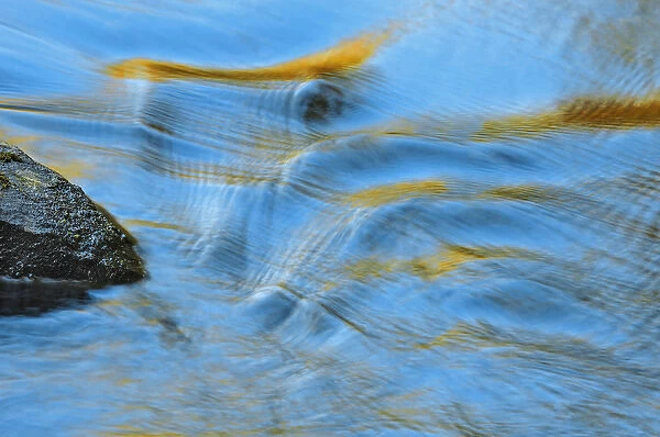 Canada, Ontario. Water rippling by a rock in the Oxtongue River