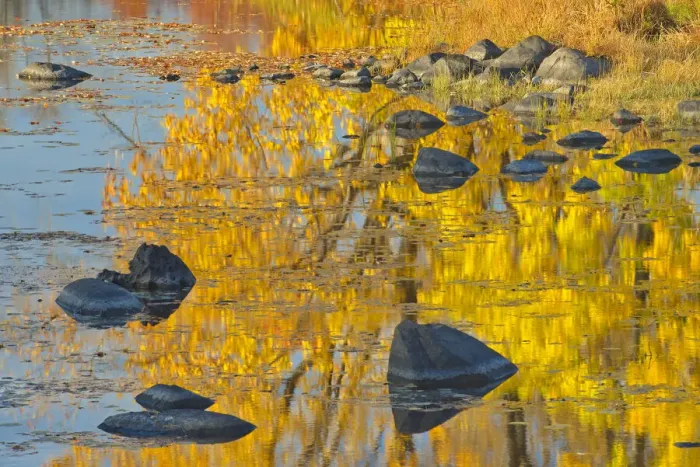 Framed Print : Canada, Ontario, Whitefish. Autumn colors reflect in Vermilion River Framed Print : Canada, Ontario, Whitefish. Autumn colors reflect in Vermilion River