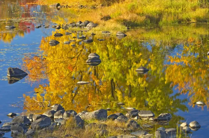 Framed Print : Canada, Ontario, Whitefish. Autumn colors reflect in Vermilion River