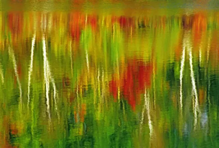 Framed Print : Canada, Ontario, Worthington. Reflection of autumn-colored trees in St. Poithier Lake