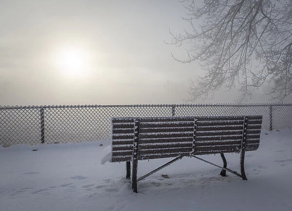 Canada, Ottawa, Ottawa River. Fog-shrouded winter scene