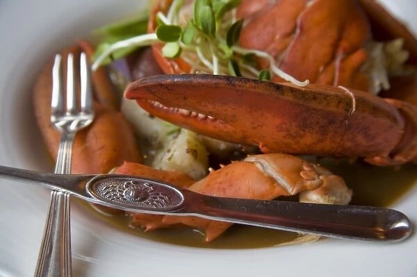 Canada, Prince Edward Island, Dalvay-by-the-sea. Lobster dish at the Dalvay-by-the-sea Historic Inn