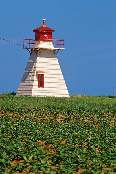Canada, Prince Edward Island, Darnley. Lighthouse and potato crop