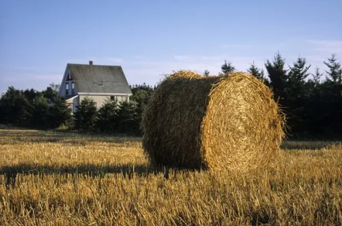 Framed Print : Canada, Prince Edward Island, Hay harvest near Cavendish