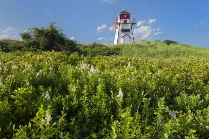 Framed Print : Canada, Prince Edward Island, Prince Edward Island National Park. Lighthouse at Covehead Harbour Framed Print : Canada, Prince Edward Island, Prince Edward Island National Park. Lighthouse at Covehead Harbour