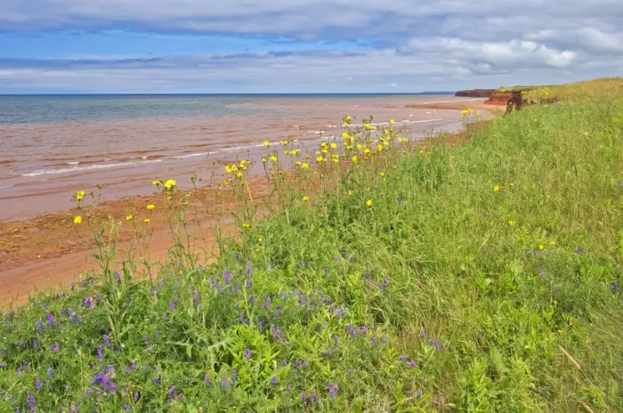Framed Print : Canada, Prince Edward Island, Skinners Pond. Red sandstone beach on Northumberland Strait Framed Print : Canada, Prince Edward Island, Skinners Pond. Red sandstone beach on Northumberland Strait