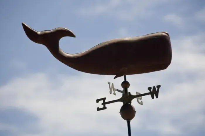 Framed Print : Canada, Prince Edward Island, Sperm whale weathervane Framed Print : Canada, Prince Edward Island, Sperm whale weathervane
