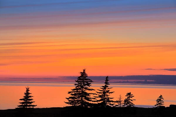 Canada, Prince Edward Island, West Cape. Trees silhouetted by water at dusk. Credit as