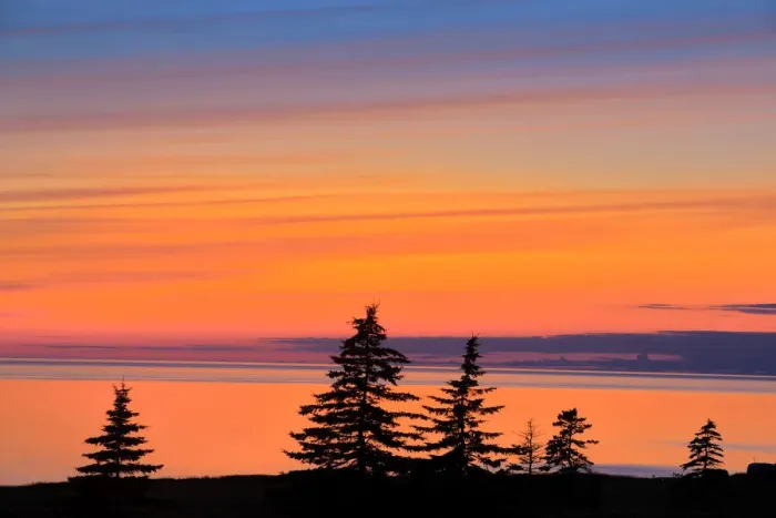 Framed Print : Canada, Prince Edward Island, West Cape. Trees silhouetted by water at dusk. Credit as Framed Print : Canada, Prince Edward Island, West Cape. Trees silhouetted by water at dusk. Credit as