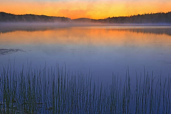 Canada, Quebec, Chibougamau. Fog over Lac Sauvage at dawn