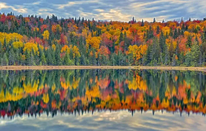 Framed Print : Canada, Quebec, La Mauricie National Park. Autumn colors reflected in Lac Modene
