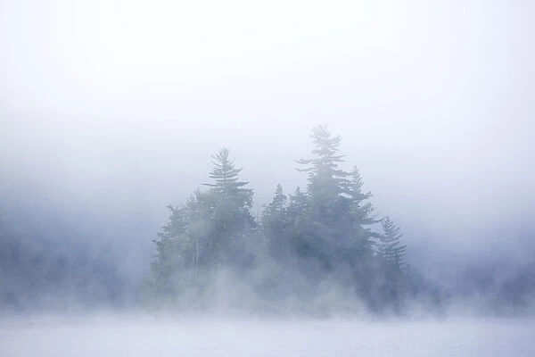 Canada, Quebec, Lake Long Pond. Island in morning fog