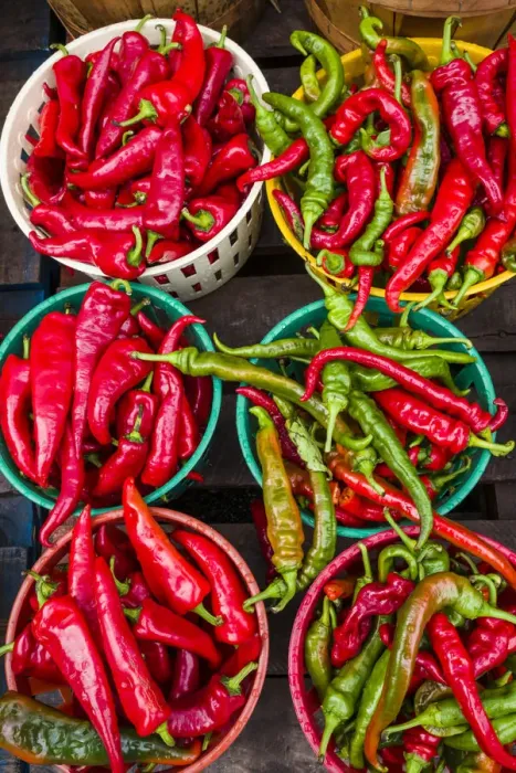 Framed Print : Canada, Quebec, Montreal. Little Italy, Marche Jean Talon Market, peppers