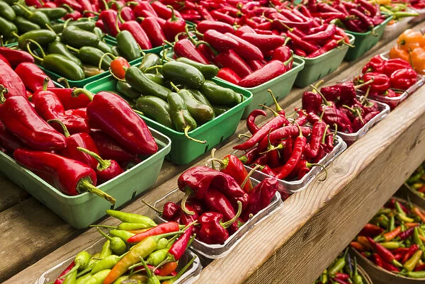 Canada, Quebec, Montreal. Little Italy, Marche Jean Talon Market, peppers