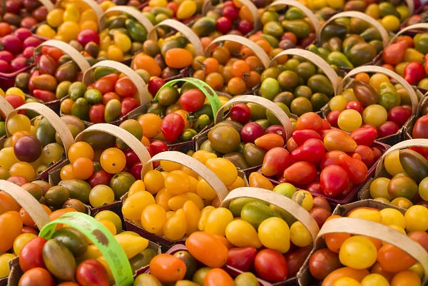 Canada, Quebec, Montreal. Little Italy, Marche Jean Talon Market, tomatoes