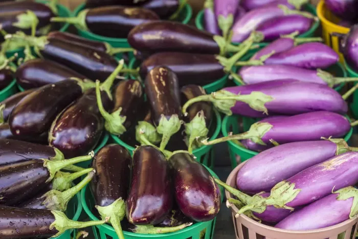 Framed Print : Canada, Quebec, Montreal. Little Italy, Marche Jean Talon Market, aubergines Framed Print : Canada, Quebec, Montreal. Little Italy, Marche Jean Talon Market, aubergines