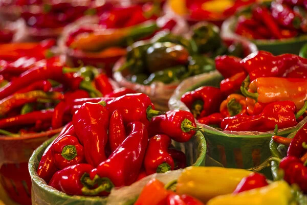 Canada, Quebec, Montreal. Little Italy, Marche Jean Talon Market, peppers