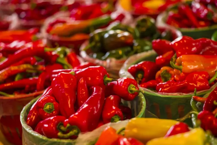 Framed Print : Canada, Quebec, Montreal. Little Italy, Marche Jean Talon Market, peppers Framed Print : Canada, Quebec, Montreal. Little Italy, Marche Jean Talon Market, peppers
