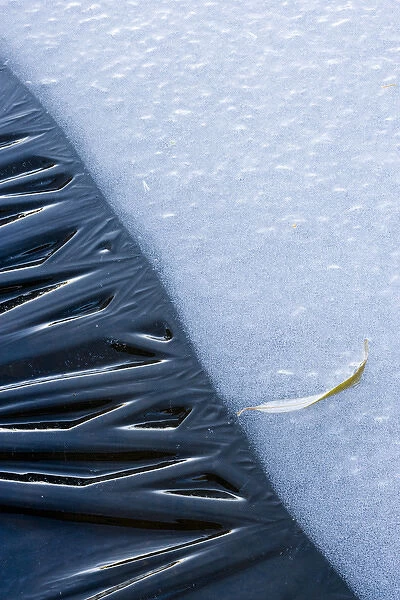 Canada, Quebec, Mount St-Bruno Conservation Park. Close-up of lakeshore ice. Credit as