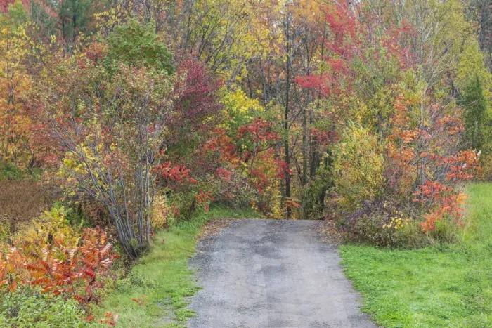 Framed Print : Canada, Quebec, Neuville. Country road Framed Print : Canada, Quebec, Neuville. Country road
