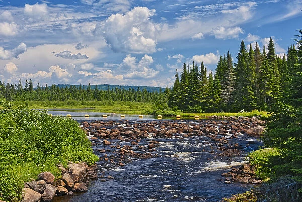 Canada, Quebec, Parc National du Mont-Tremblant. Riviere du Diable rapids and forest