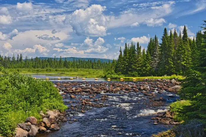 Framed Print : Canada, Quebec, Parc National du Mont-Tremblant. Riviere du Diable rapids and forest Framed Print : Canada, Quebec, Parc National du Mont-Tremblant. Riviere du Diable rapids and forest